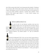Italijos virtuvė 20 puslapis