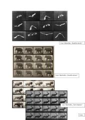 Judesio fiksavimas XIX amžiuje 11 puslapis