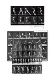 Judesio fiksavimas XIX amžiuje 13 puslapis