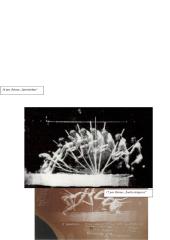 Judesio fiksavimas XIX amžiuje 15 puslapis