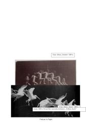 Judesio fiksavimas XIX amžiuje 16 puslapis