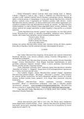 Justino Marcinkevičiaus kūrybos ypatumai 2 puslapis