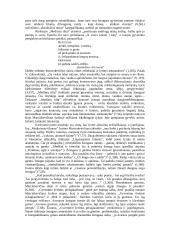 Justino Marcinkevičiaus kūrybos ypatumai 4 puslapis