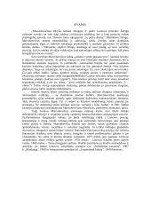 Justino Marcinkevičiaus kūrybos ypatumai 9 puslapis