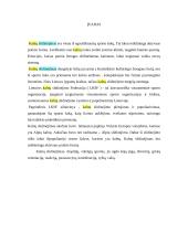 Kalnų slidinėjimas 2 puslapis