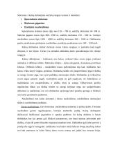 Kalnų slidinėjimas 3 puslapis