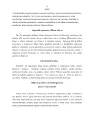 Karštųjų patiekalų iš paukštienos krūtinėlės paruošimo technologija 12 puslapis