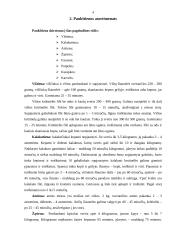 Karštųjų patiekalų iš paukštienos krūtinėlės paruošimo technologija 4 puslapis
