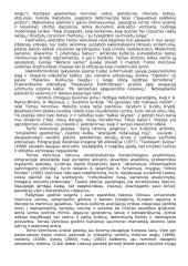 Tomas Venclova. Biografija ir kūryba 2 puslapis