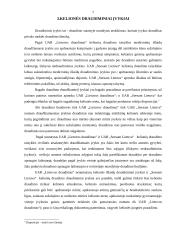 Kelionės draudimo palyginamoji analizė: UAB "Seesam Lietuva" ir "Lietuvos draudimas" 7 puslapis