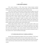 Kelionės draudimo palyginamoji analizė: UAB "Seesam Lietuva" ir "Lietuvos draudimas" 10 puslapis