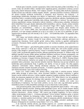 Pagrindinių tradicinės vadybos ir visuotinės kokybės vadybos skirtumų bei sąsajų analizė 4 puslapis