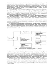 Pagrindinių tradicinės vadybos ir visuotinės kokybės vadybos skirtumų bei sąsajų analizė 5 puslapis