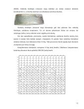 Klaviatūra, klaviatūrų tipai bei klavišai 12 puslapis