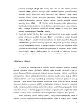 Klaviatūra, klaviatūrų tipai bei klavišai 10 puslapis