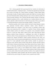 Knygnešiai spaudos draudimo laikotarpiu 3 puslapis