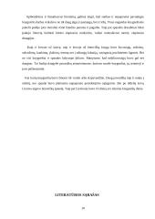 Knygnešiai spaudos draudimo laikotarpiu 10 puslapis