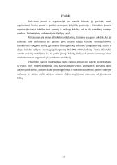 Kokybės kontrolė 2 puslapis