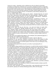 Vadovo veikla organizacijoje 2 puslapis