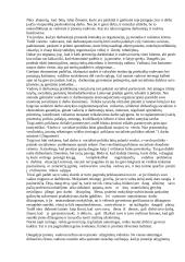 Vadovo veikla organizacijoje 3 puslapis