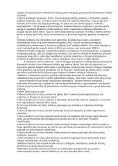 Vadovo veikla organizacijoje 4 puslapis