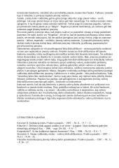 Vadovo veikla organizacijoje 6 puslapis