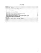 Komandiruočių išlaidų įforminimas ir apskaita