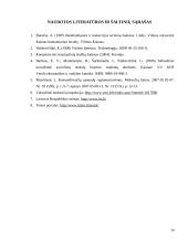 Komandiruočių išlaidų įforminimas ir apskaita 13 puslapis