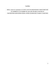 Komandiruočių išlaidų įforminimas ir apskaita 14 puslapis