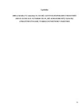 Komandiruočių išlaidų įforminimas ir apskaita 15 puslapis