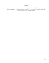 Komandiruočių išlaidų įforminimas ir apskaita 16 puslapis