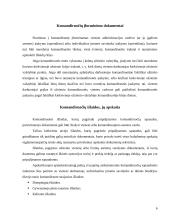 Komandiruočių išlaidų įforminimas ir apskaita 5 puslapis