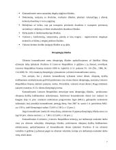 Komandiruočių išlaidų įforminimas ir apskaita 6 puslapis