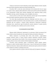 Komandiruočių išlaidų įforminimas ir apskaita 7 puslapis