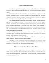 Komandiruočių išlaidų įforminimas ir apskaita 8 puslapis