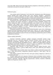 Kompiuteris ir muzikos formatai 4 puslapis