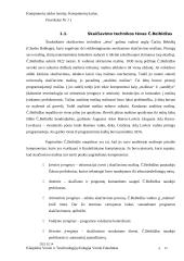 Kompiuterių raidos istorija ir kompiuterių kartos 4 puslapis