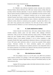 Kompiuterių raidos istorija ir kompiuterių kartos 5 puslapis