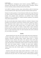 Kompiuterių tinklai 6 puslapis