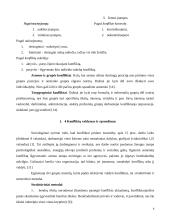 Konfliktų priežastys, rūšys, sprendimas ir valdymas 8 puslapis