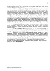 Kontrolė organizacijoje 11 puslapis