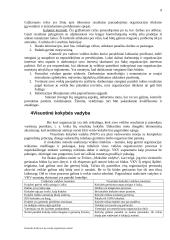 Kontrolė organizacijoje 8 puslapis