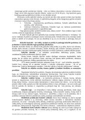 Kontrolė organizacijoje 10 puslapis