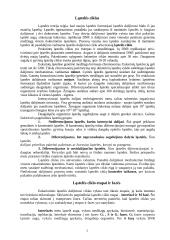 Ląstelės totipotentiškumas