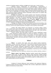 Ląstelės totipotentiškumas 2 puslapis