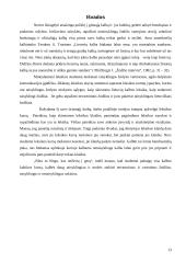 Esminės leksikos klaidos 13 puslapis