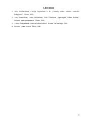 Esminės leksikos klaidos 14 puslapis