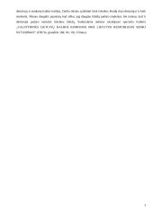 Esminės leksikos klaidos 3 puslapis