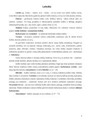 Esminės leksikos klaidos 4 puslapis