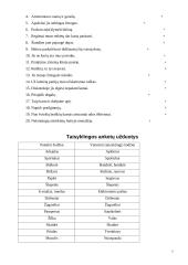 Esminės leksikos klaidos 7 puslapis